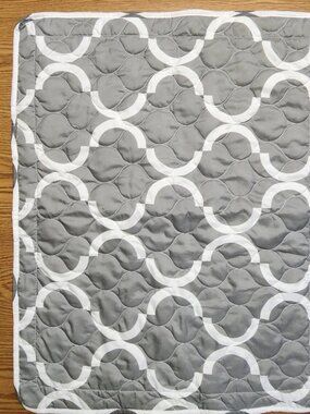 Ellison Lemon & Spice Set of Standard Pillow Shams Meridian Grey